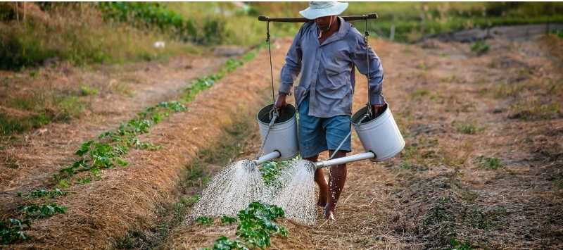 Tổ chức chứng nhận và giám định quốc tế ISOCERT