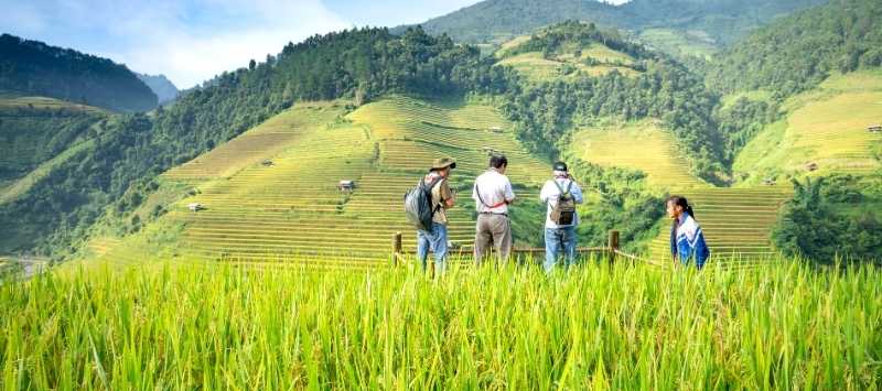 Tổ chức chứng nhận và giám định quốc tế ISOCERT